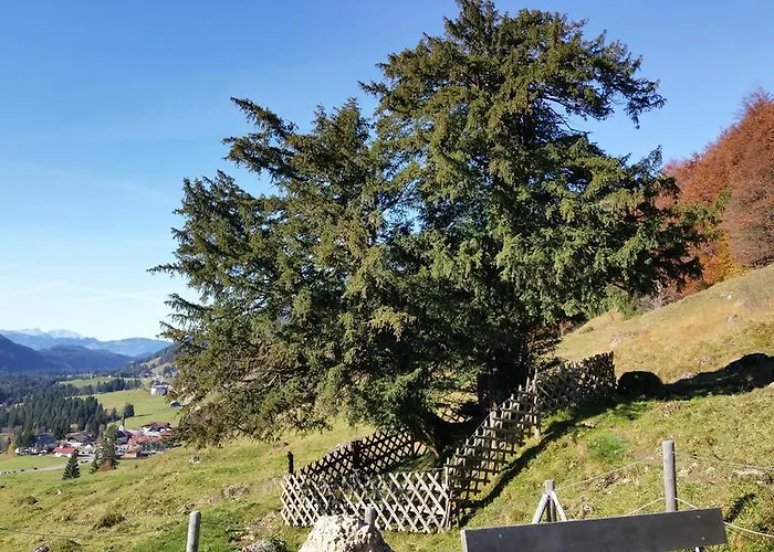Bergfrieden Bolsterlang